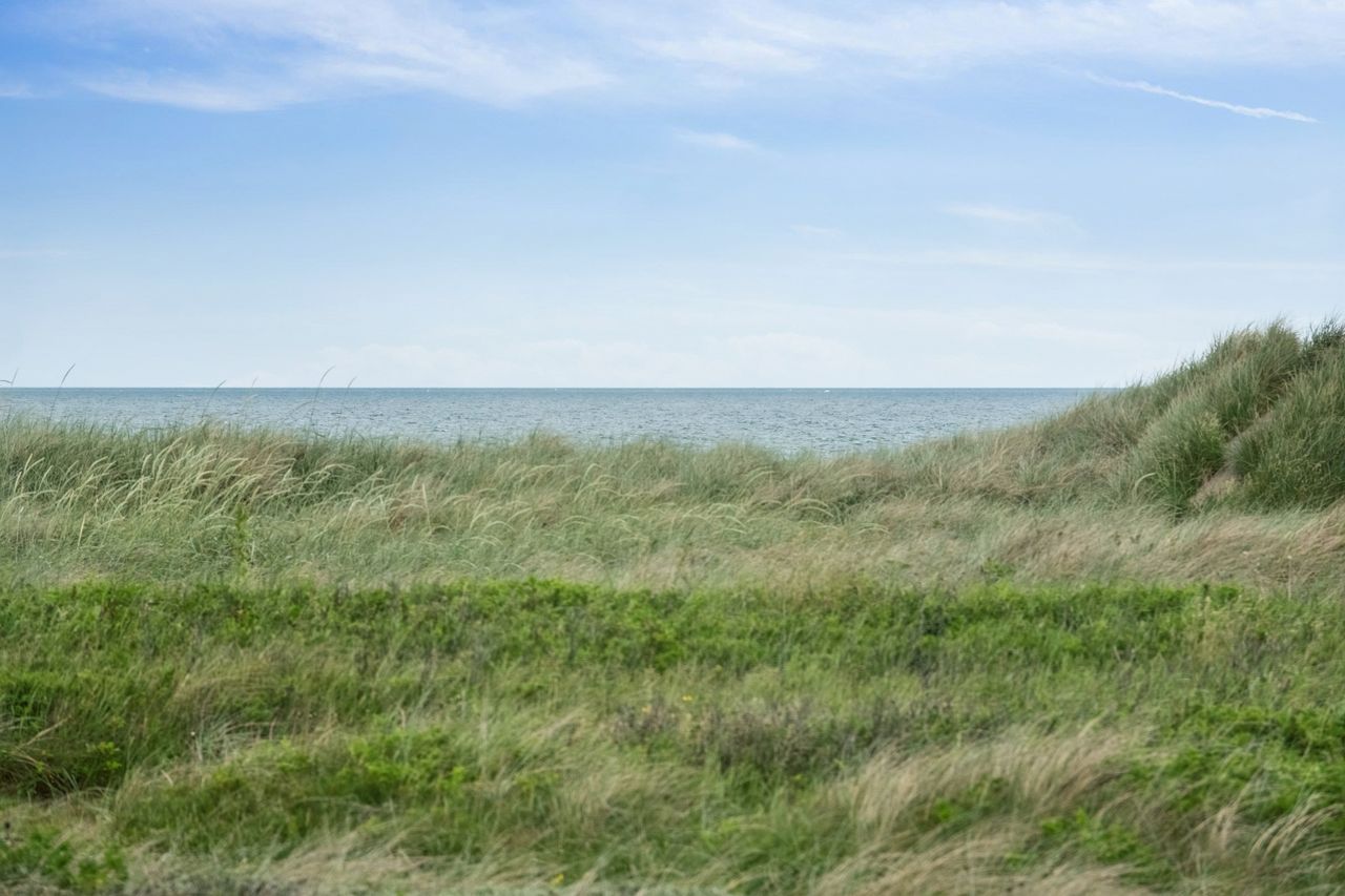 image 04